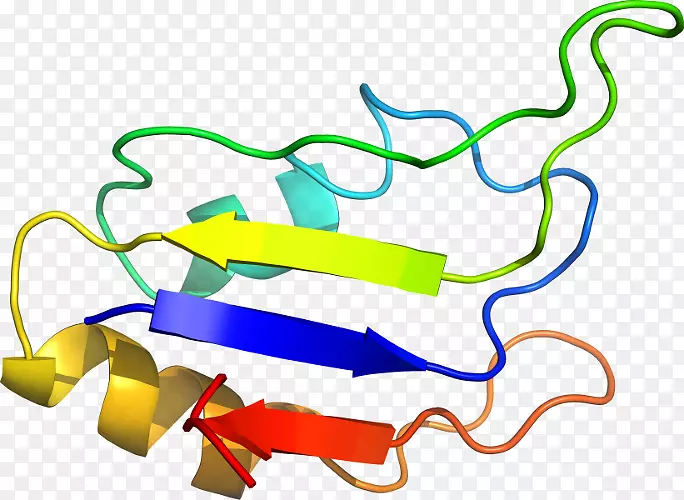 �ߵ������-��-������