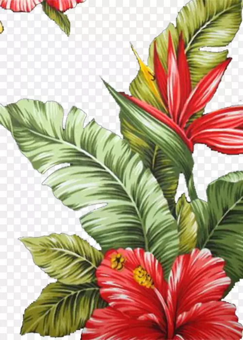 ˮ�ʻ����������ˮ�ʻ�-ˮ�ʻ����ܴ���-������