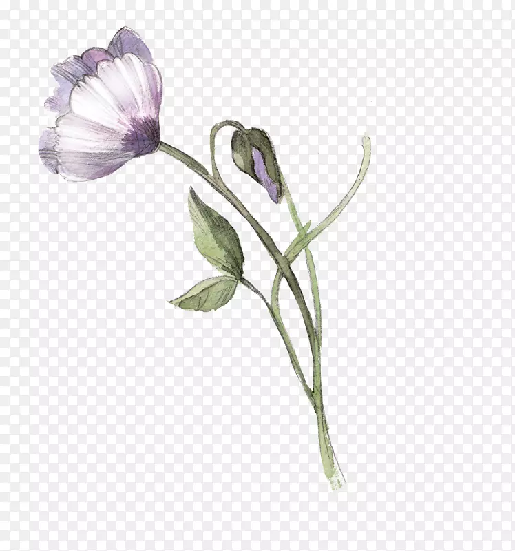 ˮ�ʻ�.ˮ�ʻ���-������