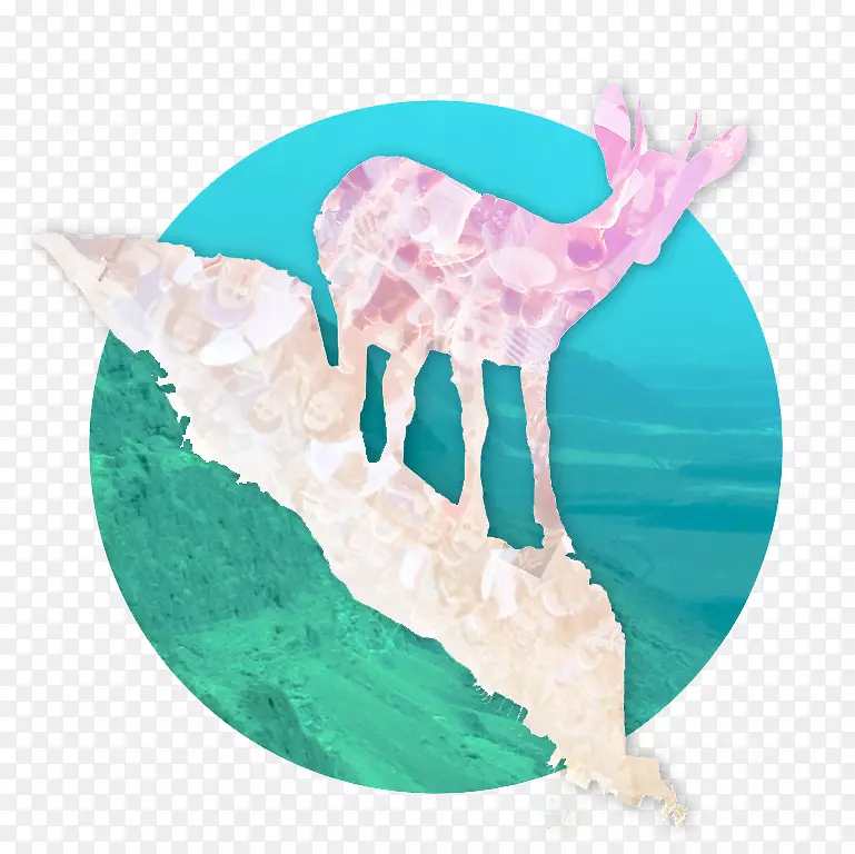 ѱ¹¹��-������