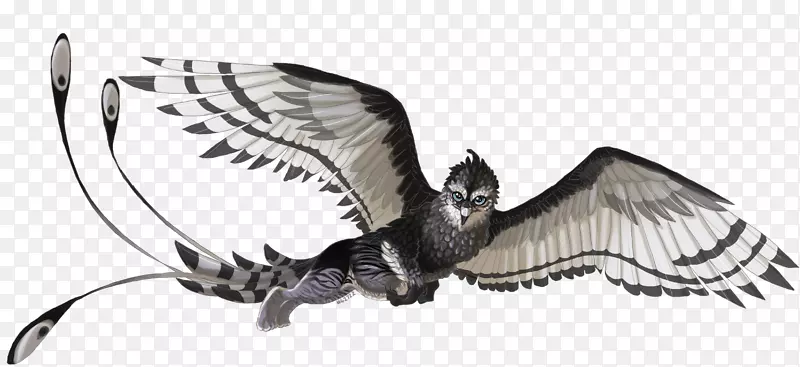 �����Ұ�������¹��-������