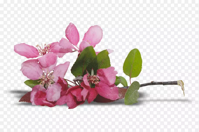 ��������л�-������