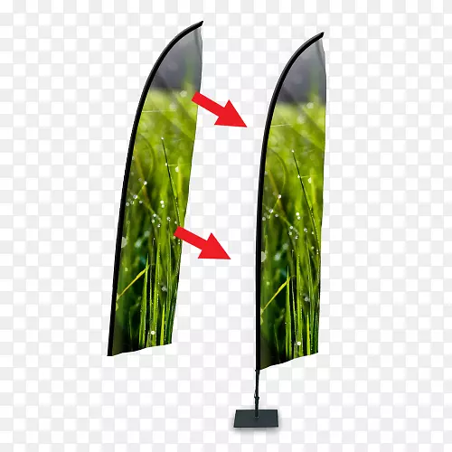 Ҷ��-Ҷ-������