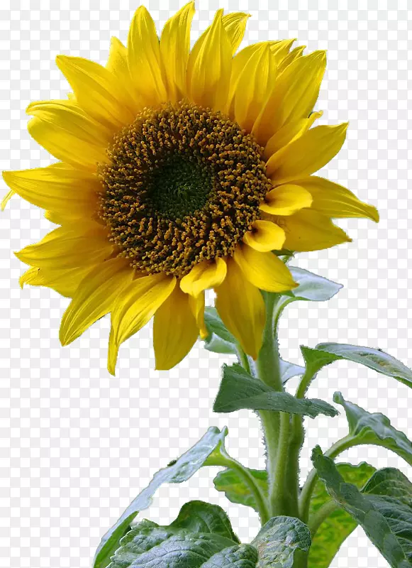 ��ͨ���տ������ֽ-��-������