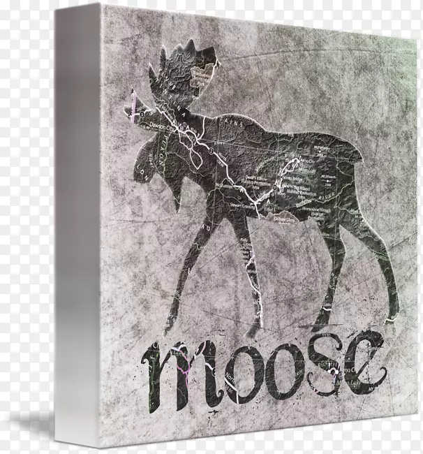 ����-��ţ����-������