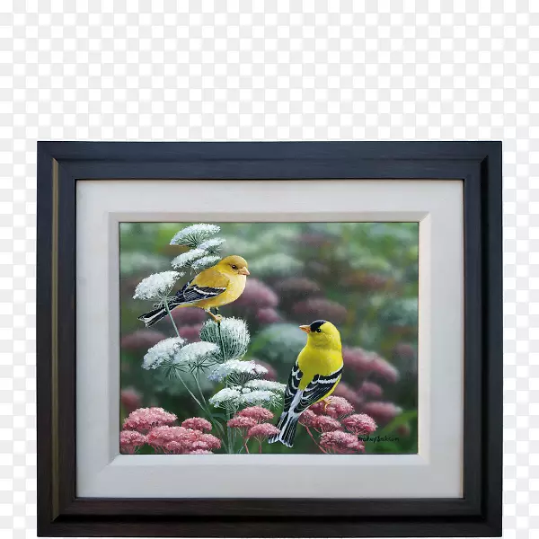 ���￪��ֲ����������.��ɫ����-������