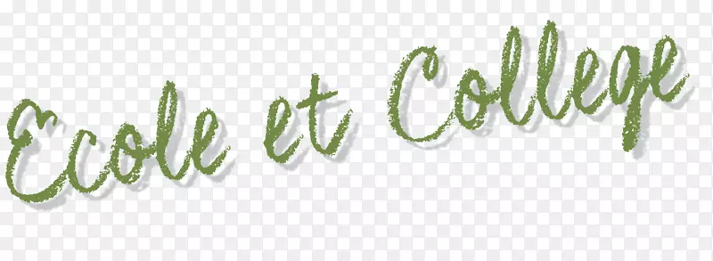 �̱�Ҷ������-Ҷ-������