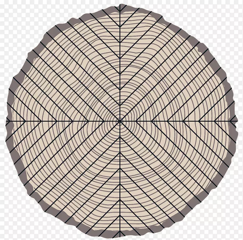 ���������̶�NW��������Ӫ��ѧ.�ķ�֮һ��-������