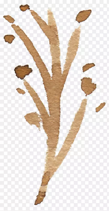 ˮ�ʻ�������ˮ�ʻ�-��ҶԪ��͸��Ԫ��-������