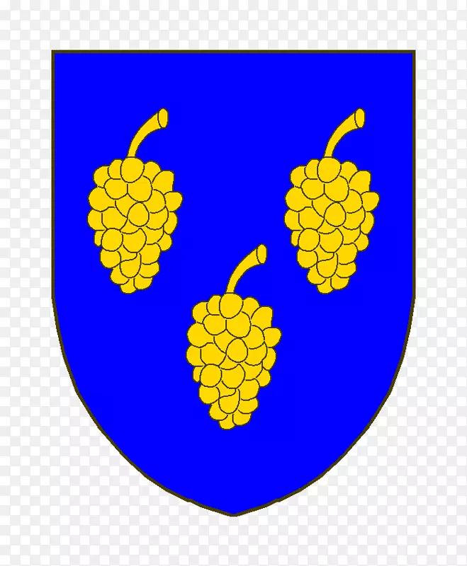 ����ֲ���ʵ-����-������