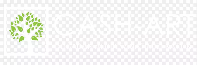 Ҷ��Ʒ�Ʋ�����-������