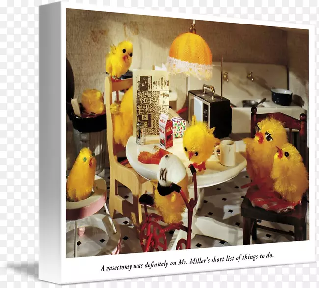 ������Ʒ���-������