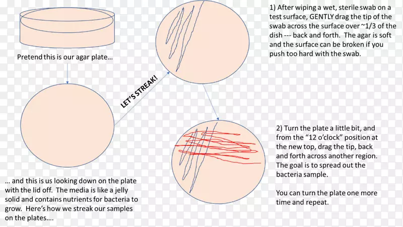 ��ѧ�����ἲ�����̵���ѿ����-��ѧ-������