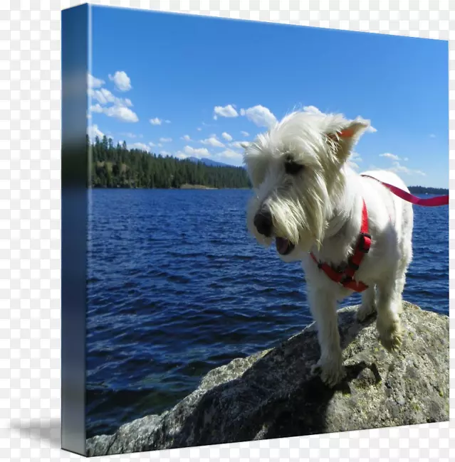 ������ԭ�׹���ֳ��Ȯ����-����Ȥ-������