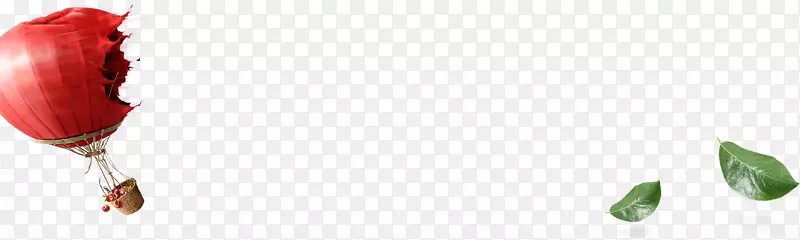 ����ѿҶֲ�ﾥ����ֲ��Ҷ-������