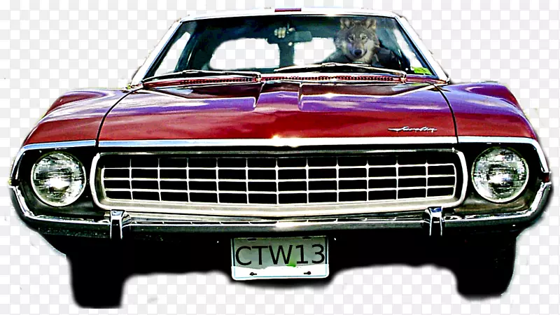 ��դ������Ʊ��ո�-���ۺ�-������