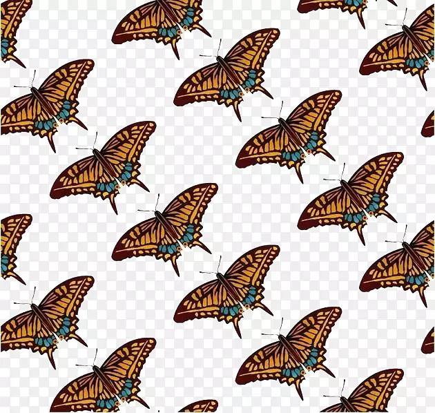 ���������ɶ���������Ϻ�����ɫ��-������