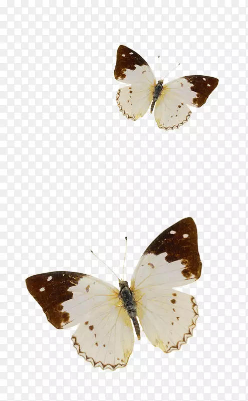 ����-������