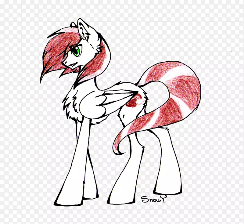 ����������˹��������������-������