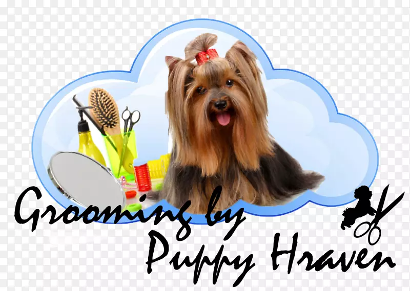 Լ�˿�С��Ȯ���Ĵ�����˿״��Ȯ���Ĵ�����С��Ȯ�����ﹷ-������ʯ��Ȯ-������