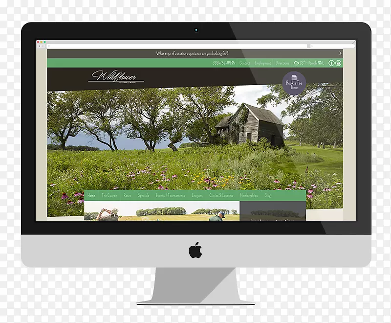 ��ý����ʾ��������ʾ��.�߶��������ʦ-������