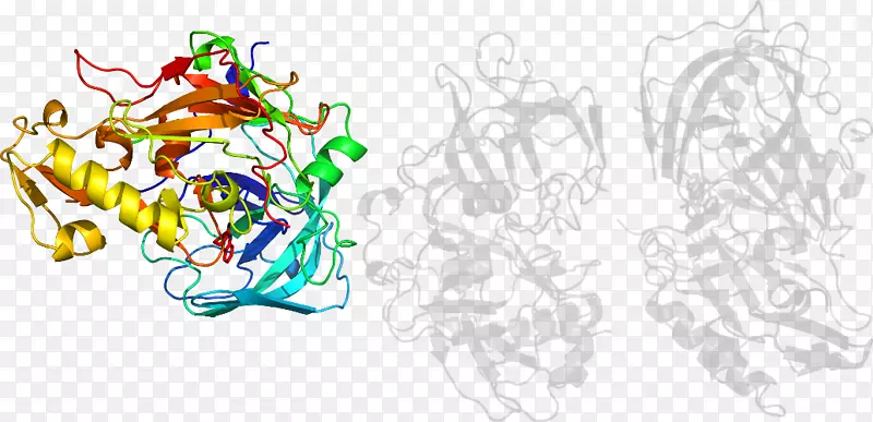 ���������-������