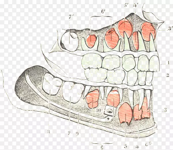 ָ��������-������