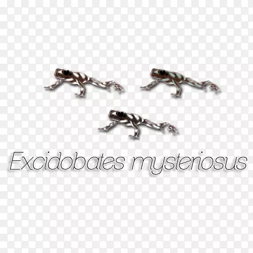 ���ж������鱦����.�鱦-������