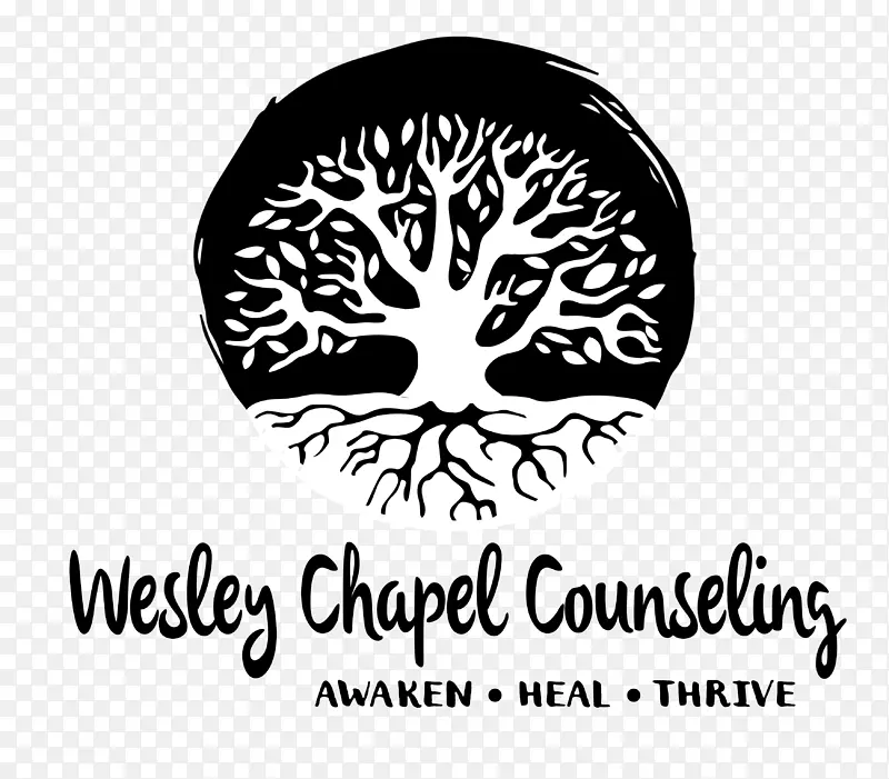 ��־����ˮ�ʻ�ľ�����-������