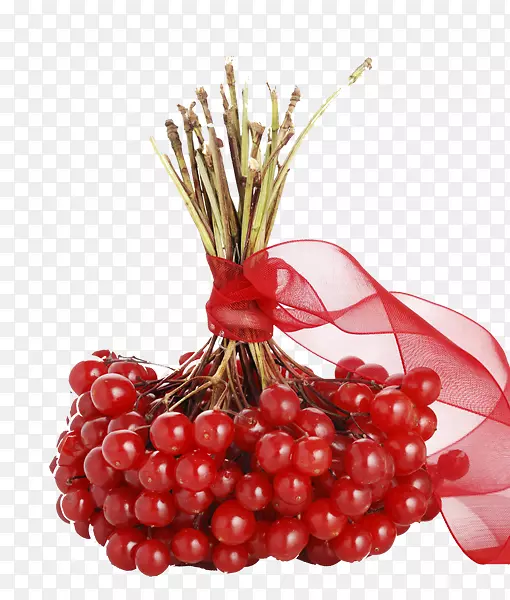 ��Խݮ�ۺ���������Ӱ-������