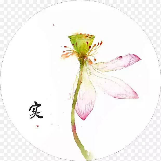 ˮ�ʻ���ͼ-ˮ�ʻ�����-������