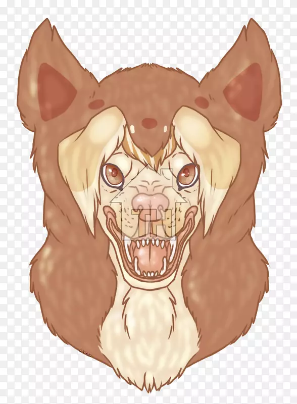 ����è�����°�è-������