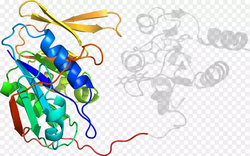 ƽ������ߵ��������-������