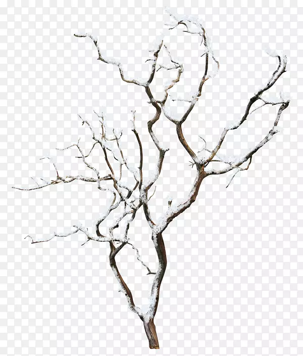 ����-������