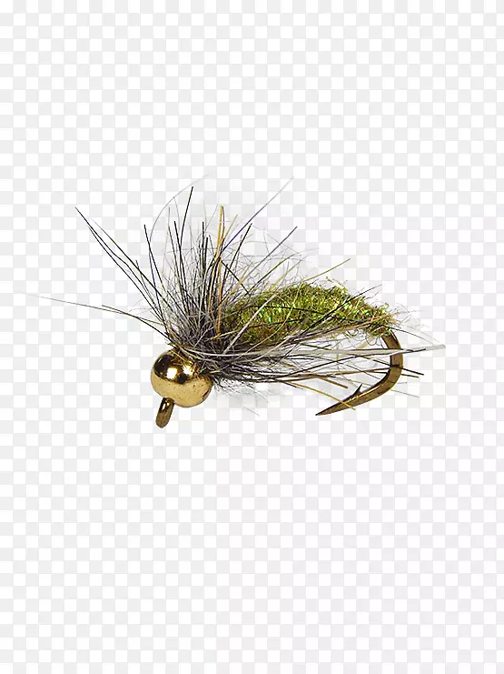 ��Ӭ�����˹��ɵ��׳�-����-������