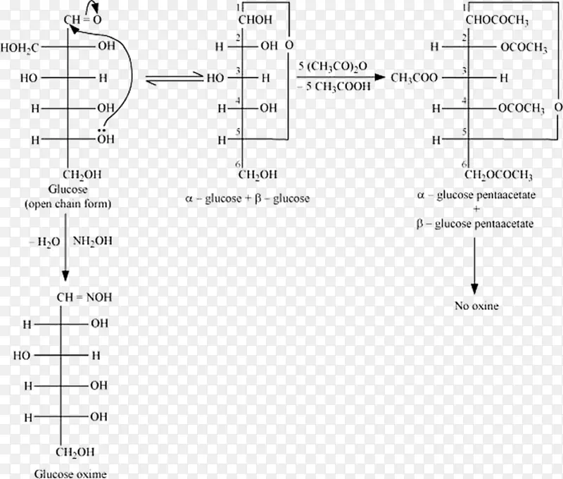 2018��������ȩCBSE���ԣ�12����ѧ�ǰ�-��ѧ-������