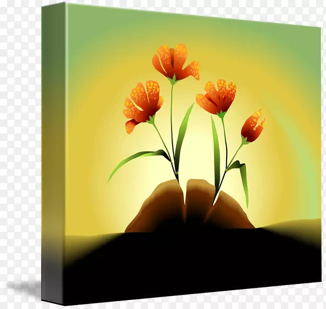 ������������ֽ����������-������