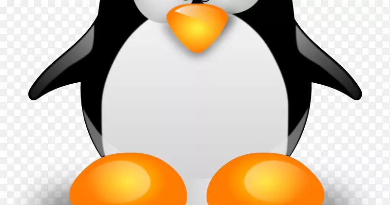 Linux���ռ���ѧ��ָ�ϣ���װlinux�ں˲���ϵͳ-������