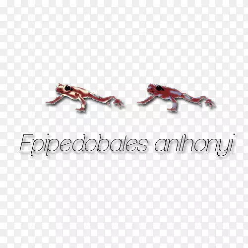 ��ʶ���鱦����-�鱦-������