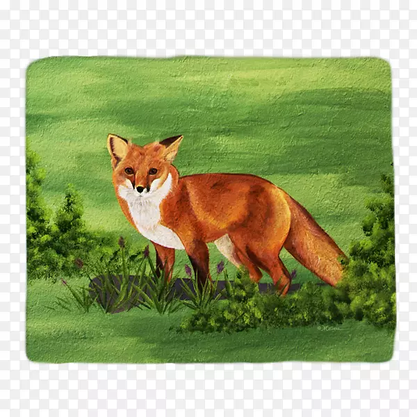 ����������Ұ������β�ͽƻ��ĺ�����Ƴ�-������