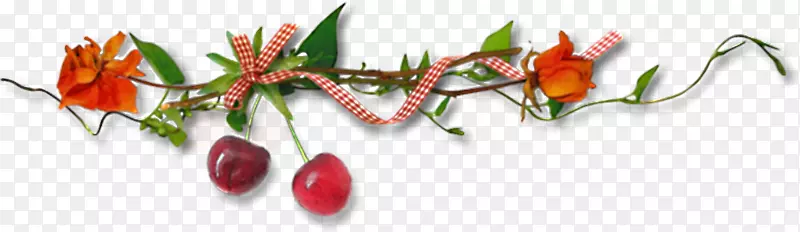 ���񻭼�����.ӣ��װ�β���-������