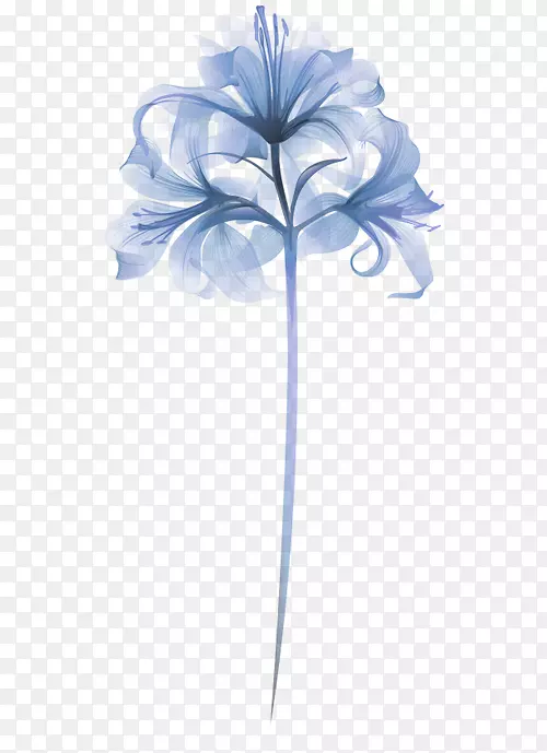 ������-������