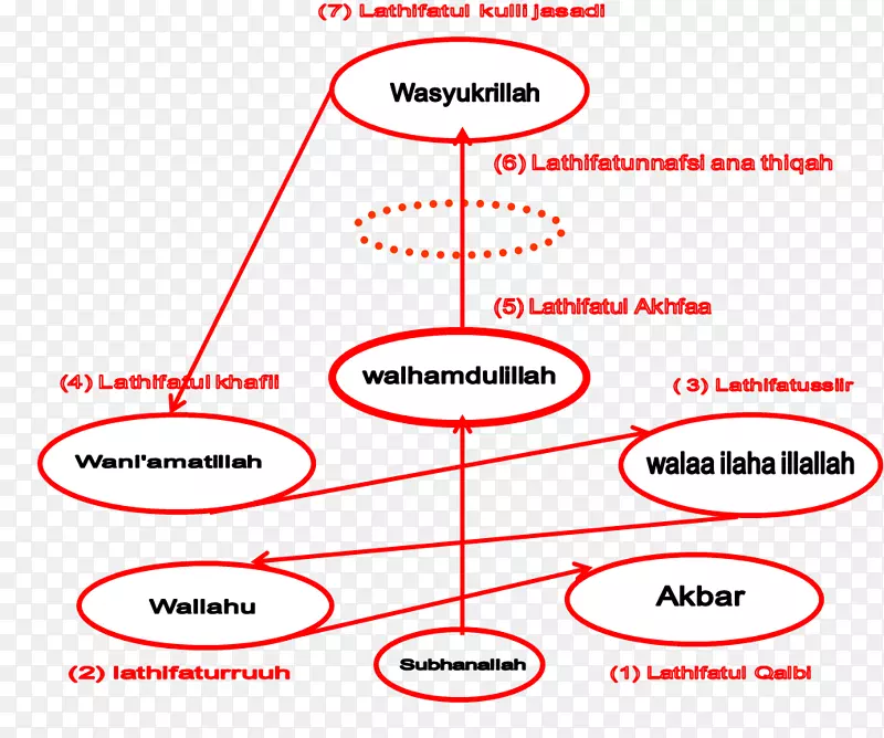 �ߵ����-������