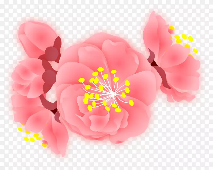 ��������Ӫ��AdSense-88-������