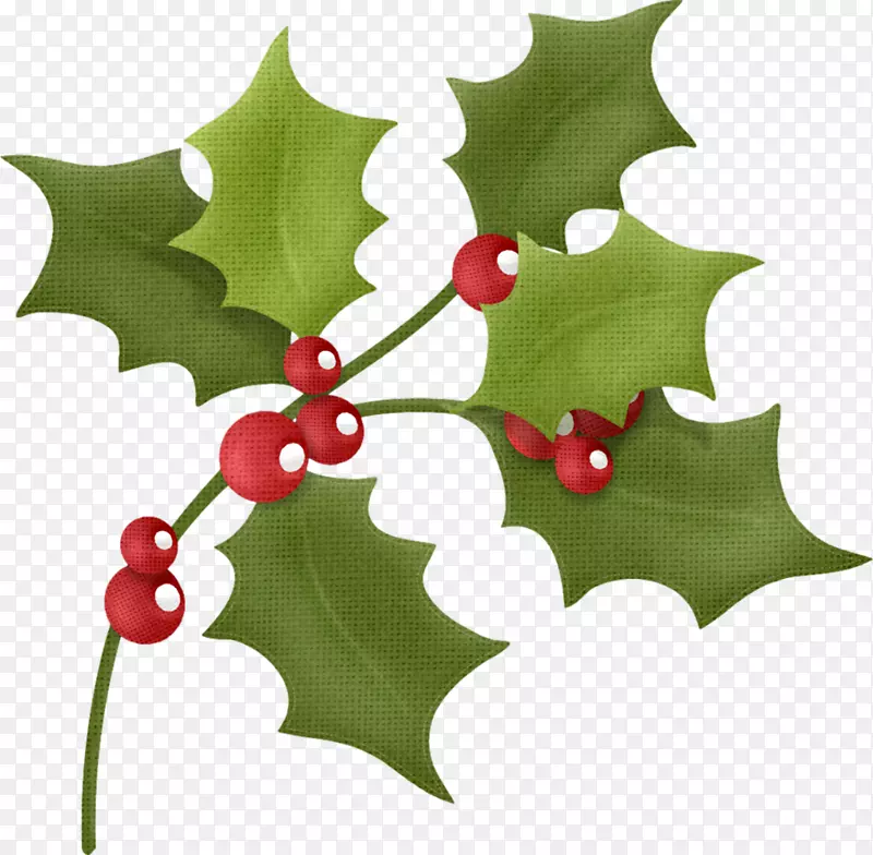 ӣ�Ҽ�����-ӣ�ҹ�Ҷ-������