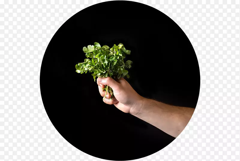 ����1920���ʦ��������������ʳ��Ŀ-������