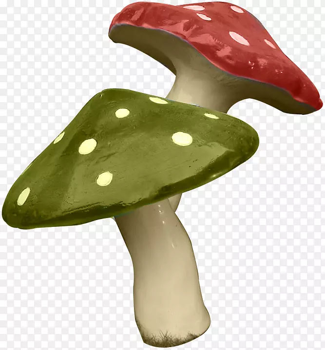 Ģ��-Ģ���������-������