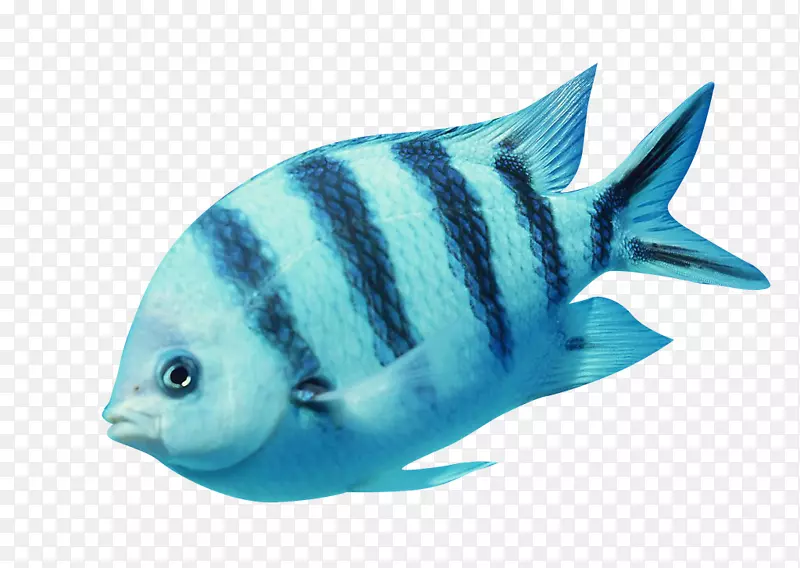 ���������ѧ����ѧ���ڿ���������-������