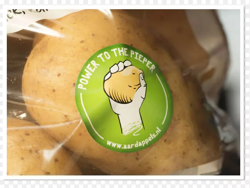 ʳ��ʵ��-������