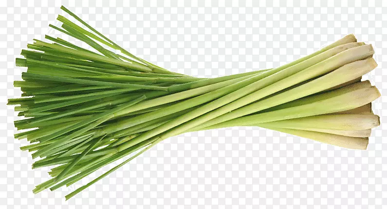 ���������ϣ��²ˣ����ʲݣ�����-������